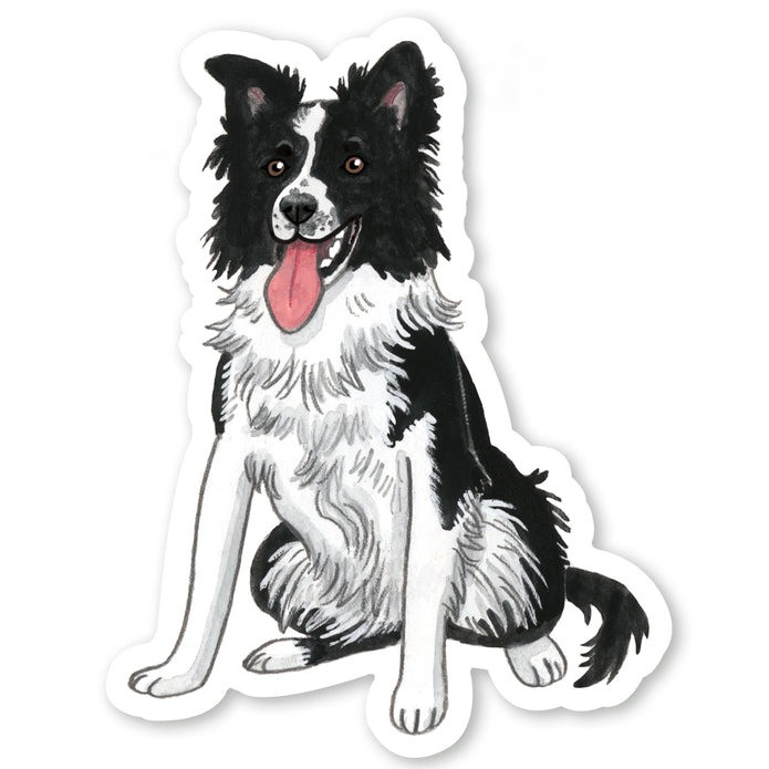 Border Collie Sticker