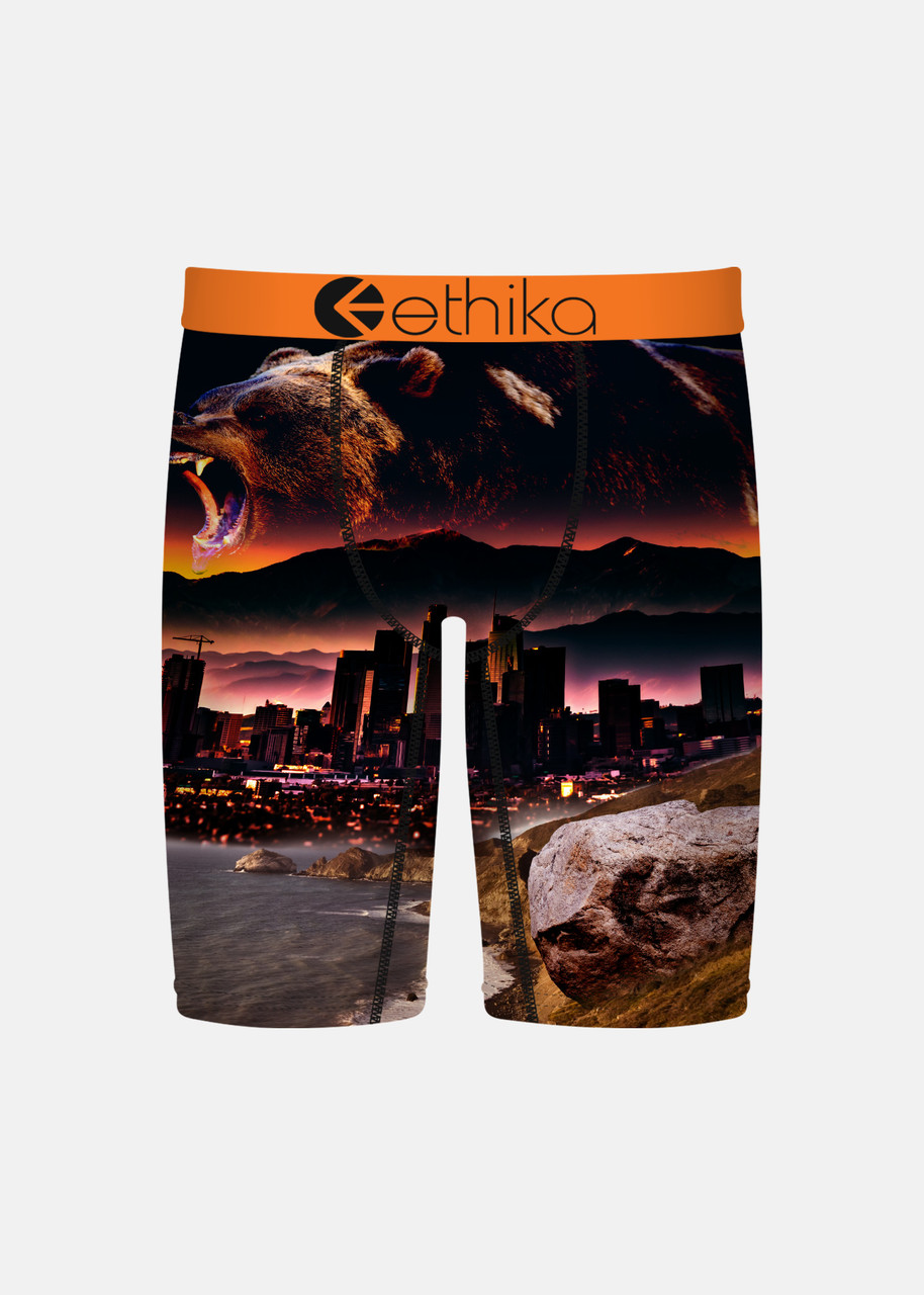 Ethika Boys' Print Staple Boxer Briefs
