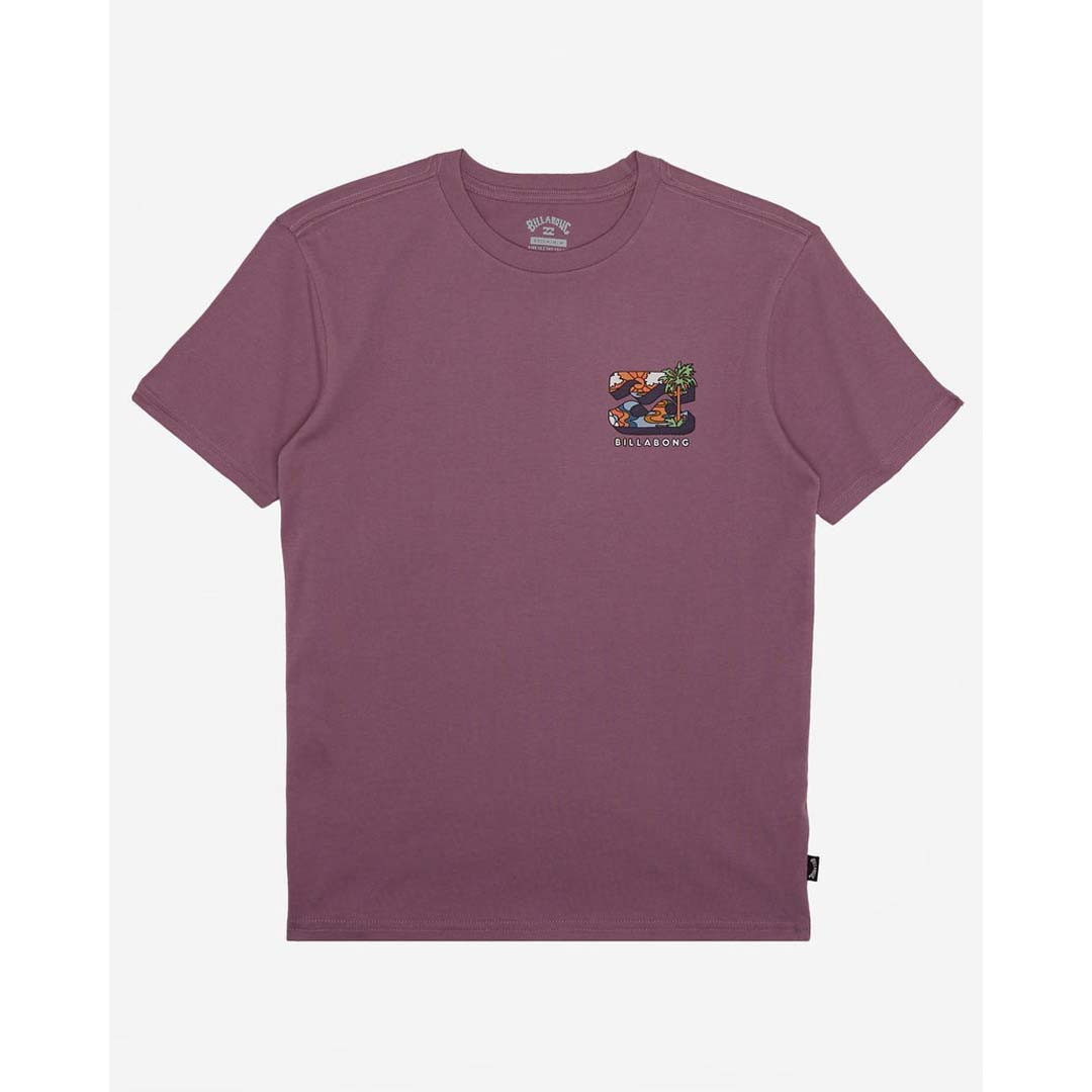 Billabong boys' Bbtv Short Sleeve T-Shirt